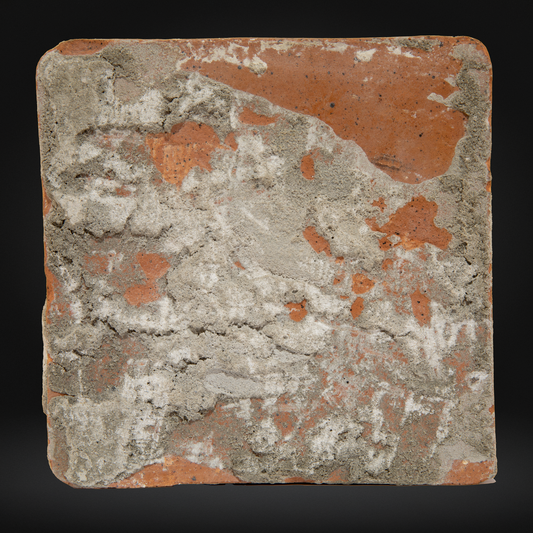Medieval Encaustic Tile, Birds - 15th Century France