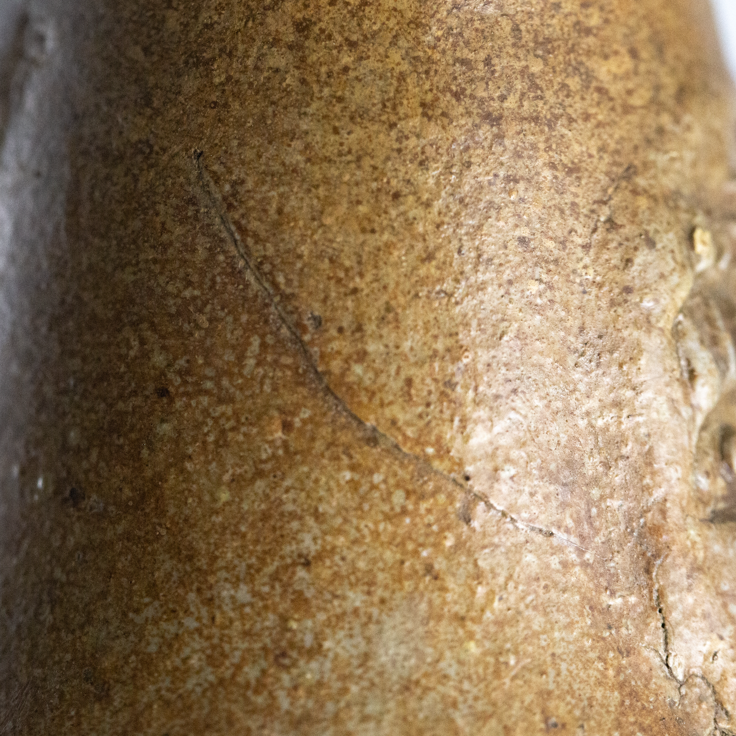 Antique Bellarmine Bottle - Frechen, Germany - 17th Century