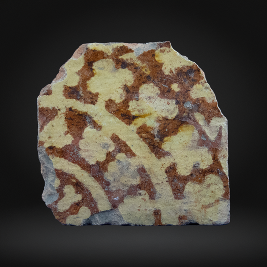 Medieval English Tile